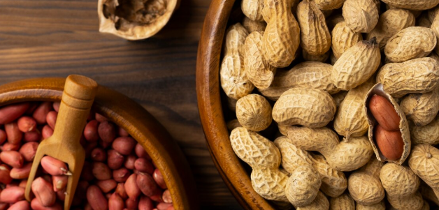 Kekuatan Nutrisi Kacang Tanah untuk Menetralisir Fungsi Tubuh