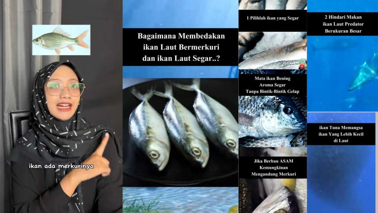 Bunda Wajib Tau, Ini Ciri-Ciri Ikan Mengandung Merkuri, Penting untuk Masalah Kesehatan Keluarga