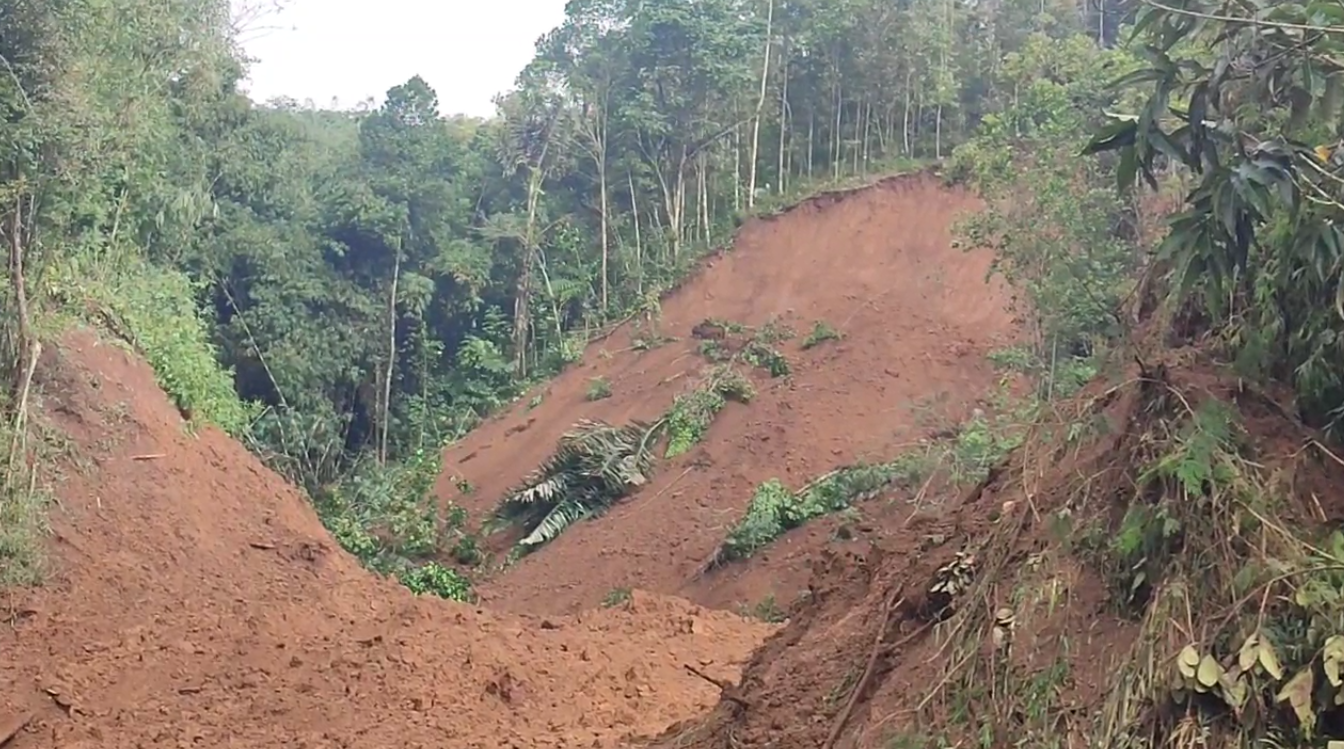 WABUP Tasikmalaya Usulkan Reboisasi Massal Pascalongsor, Lahan Miring Akan Dijadikan Areal Konservasi