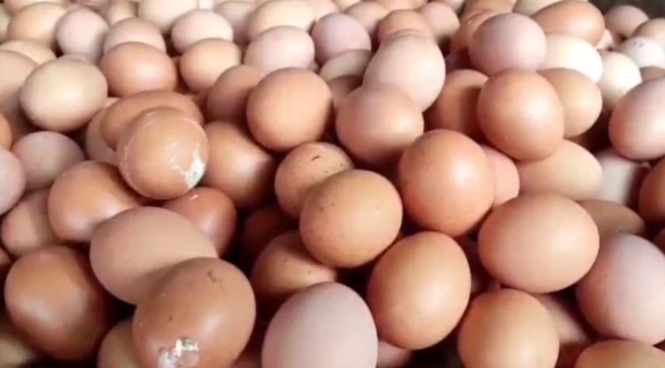 Jelang Nataru, Harga Telur Ayam Tembus Rp 33 Ribu, Kenaikan Harga Diprediksi Hingga Akhir Tahun