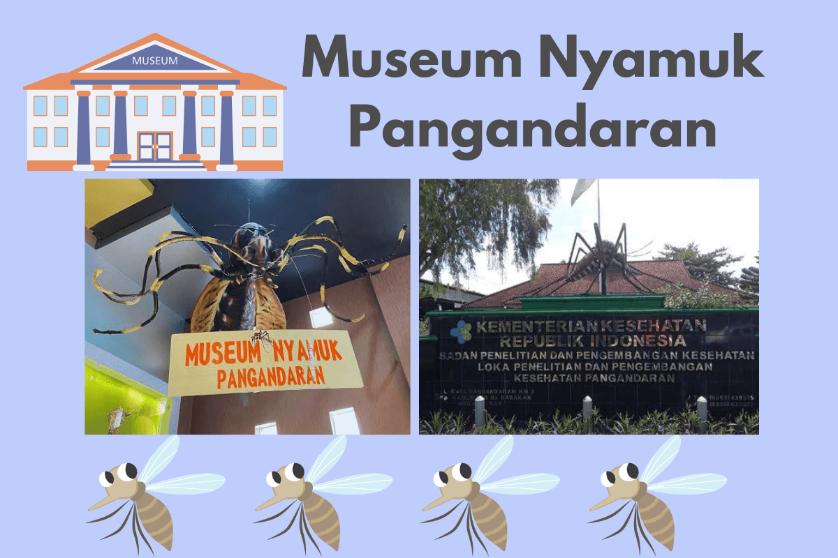 Museum Nyamuk Pangandaran, Destinasi Wisata Unik dan Edukatif yang Hanya Ada Satu Di Indonesia