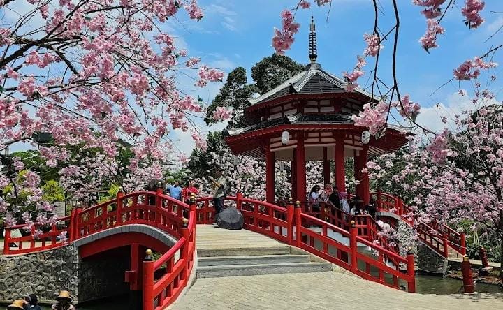 Liburan Rasa Luar Negeri: Panduan Lengkap Main ke MiniMania Puncak, Destinasi Terhits 2026