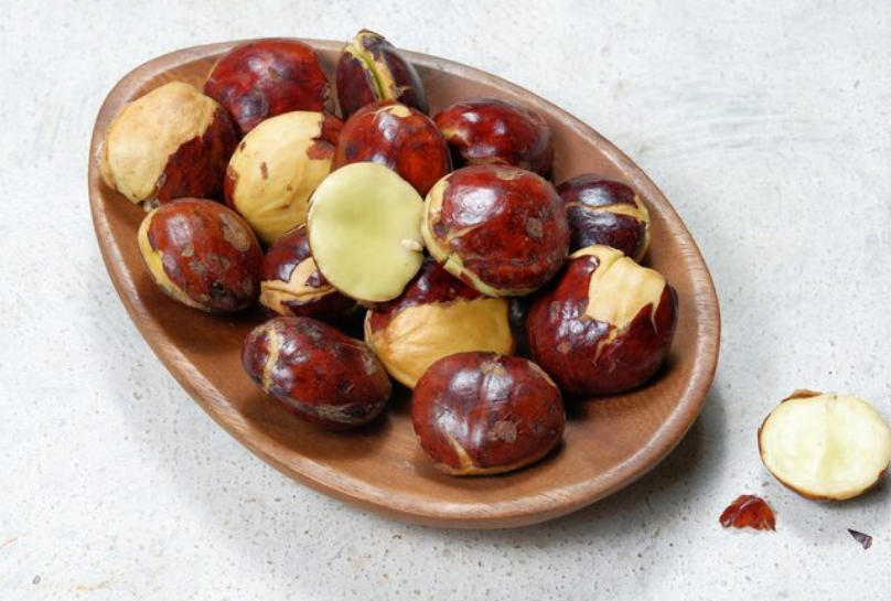 Sisi Lain Jengkol: Di Balik Bau Khasnya, Ternyata Ada Banyak Cerita Seru dan Kejutan Menarik yang Dibahas