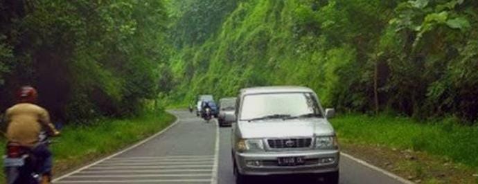 Alas Roban: Antara Keindahan Alam dan Cerita Horor yang Tak Pernah Padam