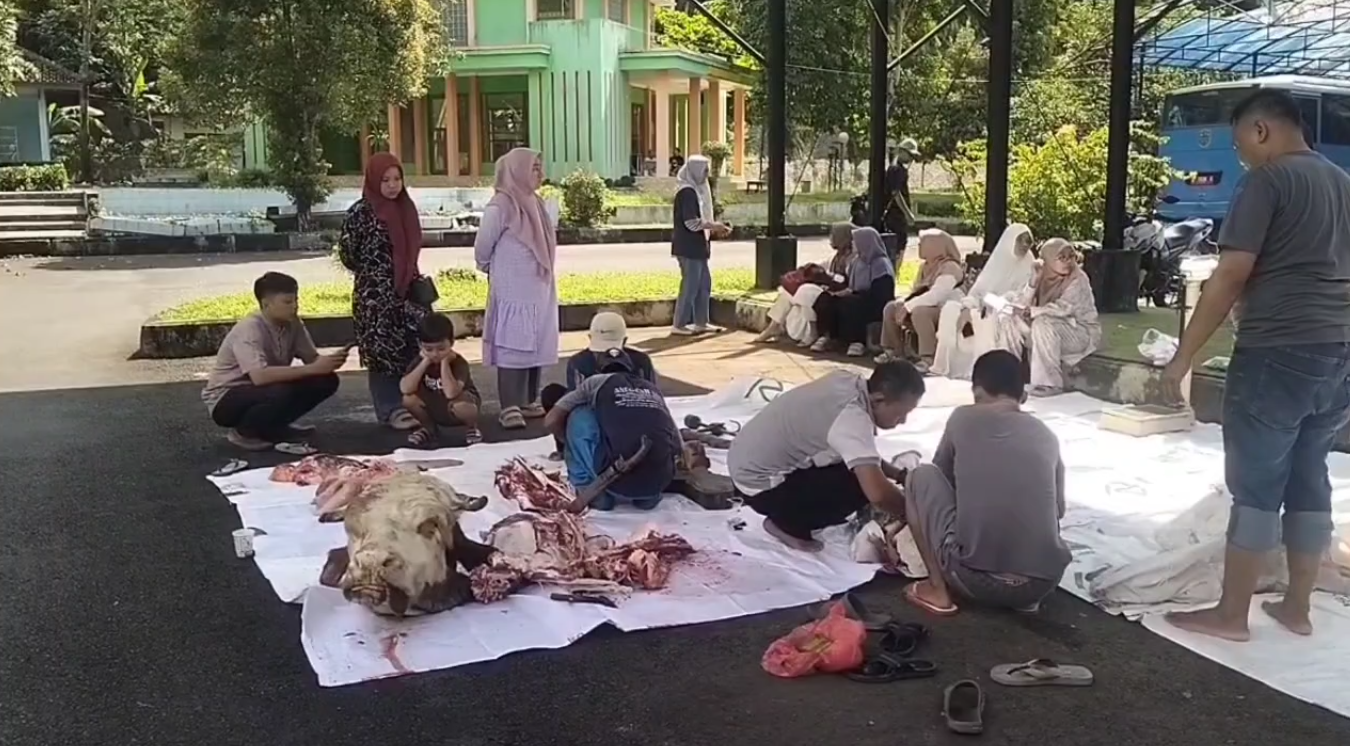 Sapi Bantuan Presiden Prabowo Diterima Pemkot Banjar, Hewan Dibagikan Khusus untuk Keluarga Pra Sejahtera