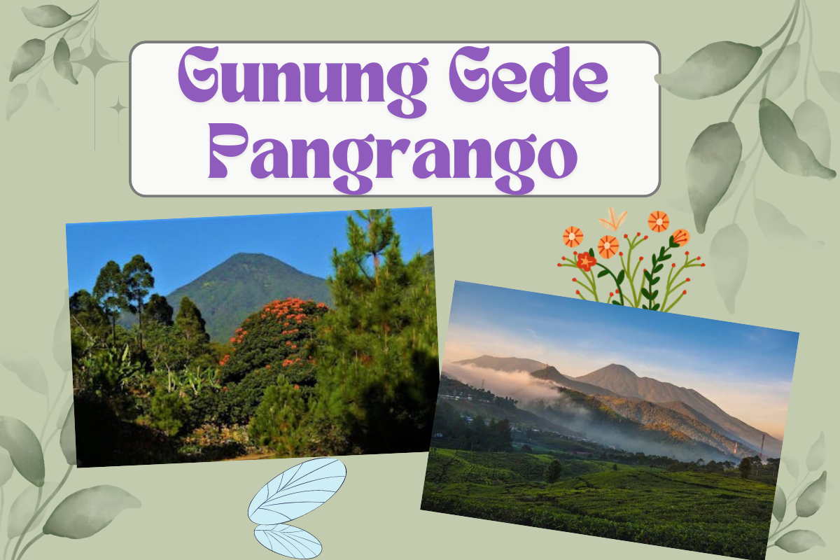 6 Hal Menarik Seputar Gunung Gede Pangrango, Gunung yang Menyimpan Segudang Cerita Magis