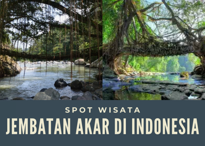 Deretan Spot Wisata Jembatan Akar Terunik di Indonesia, Salah Satunya Ada di Tasikmalaya