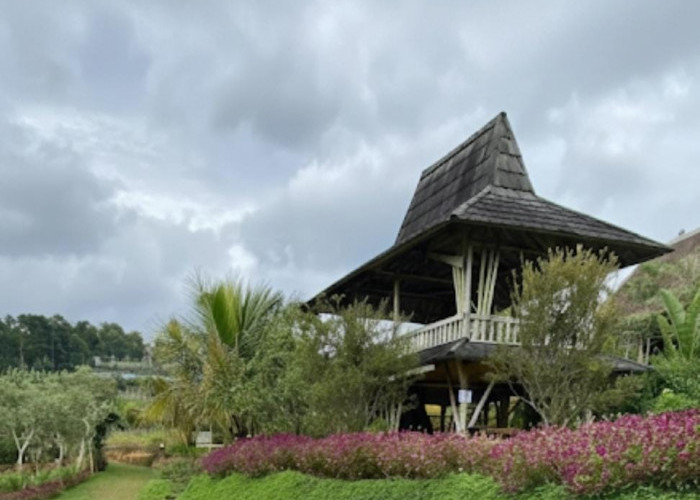 Taman Cecenet Cijambu Sumedang, Wisata Alam Asri dengan Sensasi Petik Buah Langsung dari Kebun
