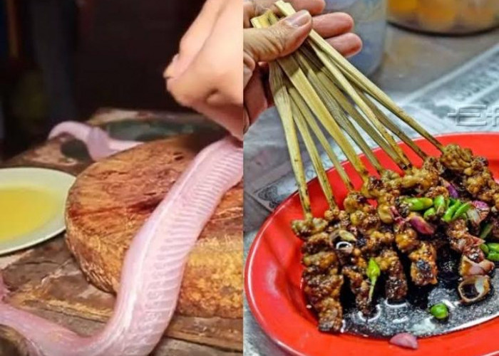 Sederet Kuliner Ekstrem Indonesia Ini Dipercaya Dapat Mengobati Berbagai Penyakit, Yuk Simak...