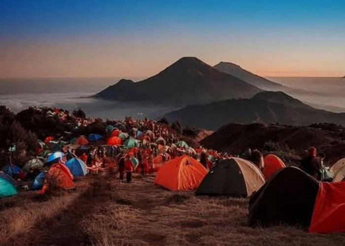 Bangun di Negeri Awan: Keajaiban Golden Sunrise Gunung Prau yang Bikin Lupa Pulang
