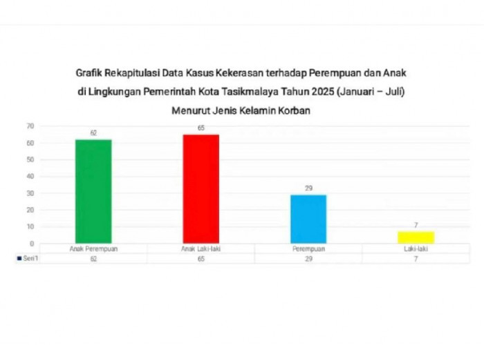 Anak Laki-Laki Paling Banyak Jadi Korban Kekerasan, Korban Butuh Pendampingan Intensif dan Penampungan 