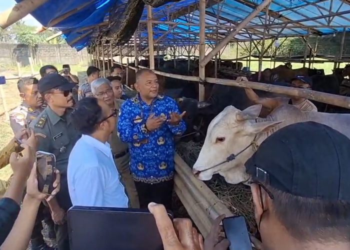 Pemkot Pastikan Hewan Kurban Sehat dan Aman Dikonsumsi, Tim Khusus Terus Monitoring hingga Hari H Penyembeliha