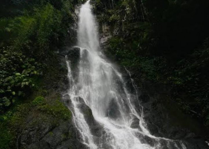 Update Tiket Curug Tujuh Cibolang 2026: Gak Nyangka Harganya Masih Semurah Ini! Cek Sekarang!