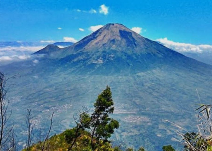 Eksotis dan Menantang! Keindahan Gunung Sindoro dari Lereng hingga Puncak