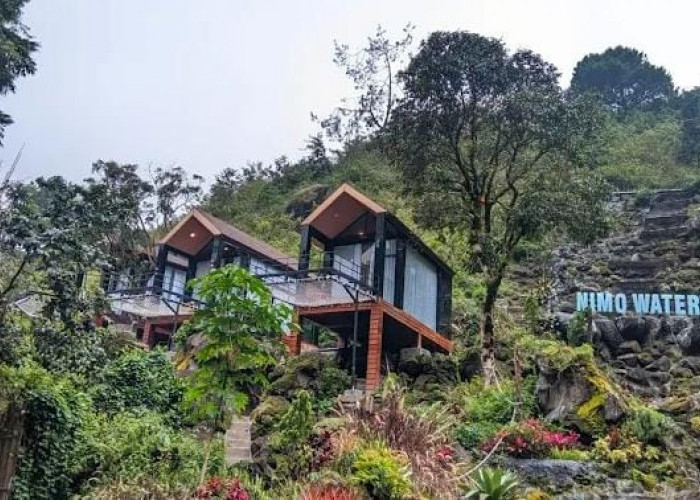 Sensasi Berendam di Tengah Hutan Pinus: Nimo Jungle Hot Spring, Destinasi Healing Paling Estetik di Ciwidey!