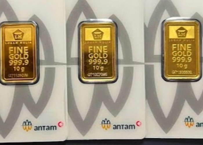 Update Harga Emas Antam Februari 2026: Kembali Melonjak ke Level Rp2,95 Juta per Gram