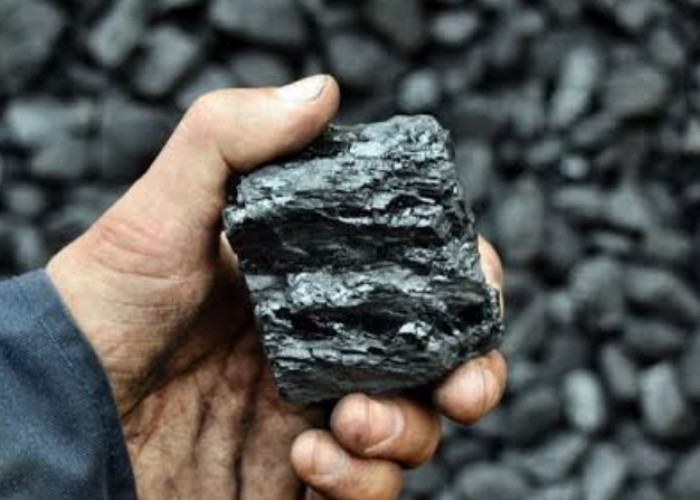 Raja Nikel Dunia: Peran Strategis Indonesia dalam Revolusi Kendaraan Listrik Global