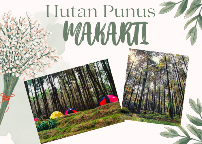 Pesona Hutan Pinus Makati, Spot Camping di Bogor yang Juga Rumah Bagi Berbagai Satwa Liar