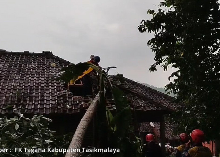 Angin Kencang Terjang Tasikmalaya, Sejumlah Rumah Rusak Tertimpa Pohon Tumbang