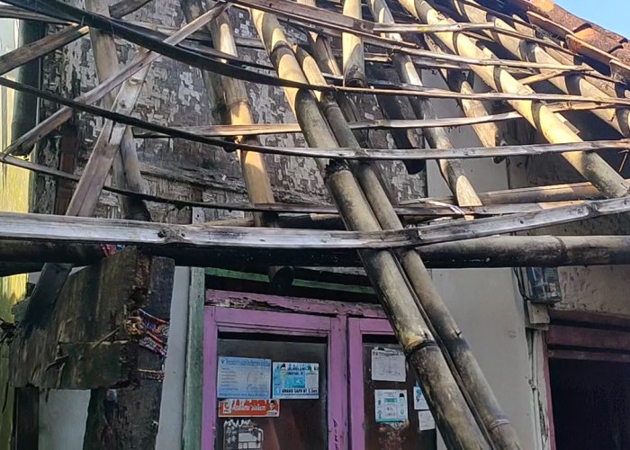 Kisah Pilu Nenek 77 Tahun Tinggal di Rumah Nyaris Roboh, Ketua Komisi III Dorong Pemkot Bantu Perbaikan