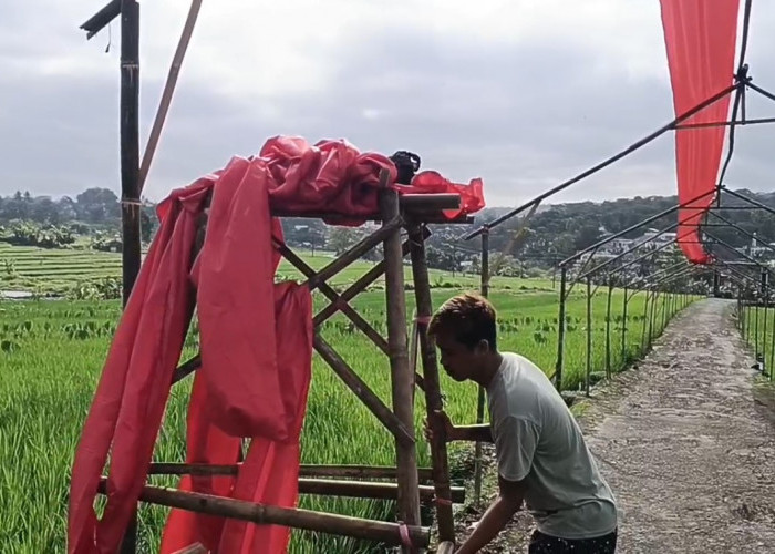 Sambut Hari Kemerdekaan Ke-80, Warga Gotong Royong Hias Kampung Dengan Ornamen Merah Putih