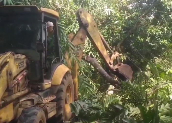 Longsor Tutup Akses Jalan Penghubung 2 Desa, BPBD dan Dinas LH Terjunkan Alat Berat Untuk Evakuasi