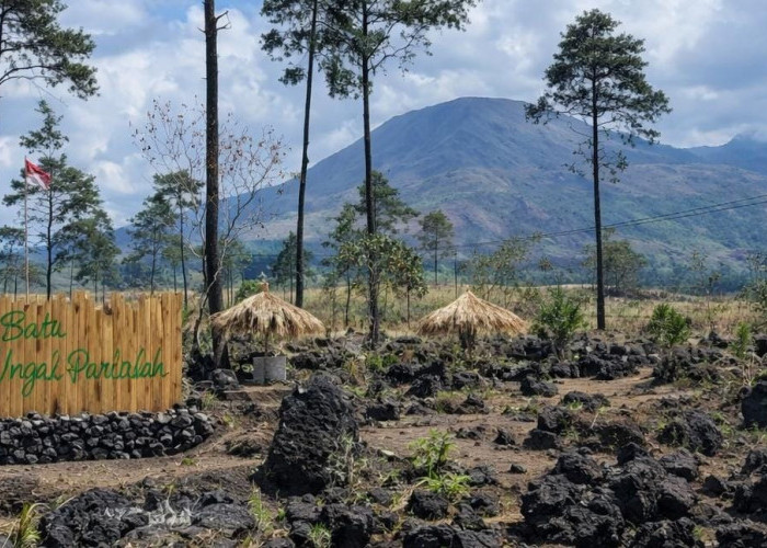 Di Ambang Senja Tegal Malaka: Saat Alam Bercerita Tanpa Kata