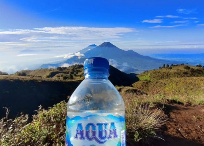 Pesona Gunung Prau Negeri di Atas Awan yang Ramah Bagi Pendaki Pemula