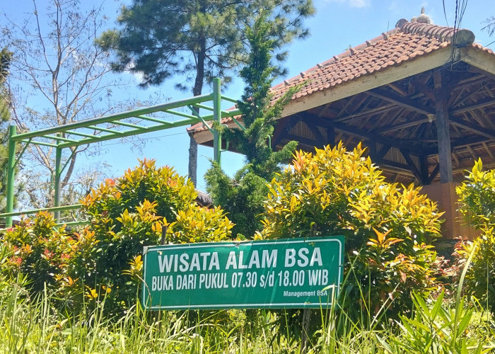 Dari Berenang hingga Glamping, Bukit Sampalan Asri Tawarkan Wisata Alam di Ciamis