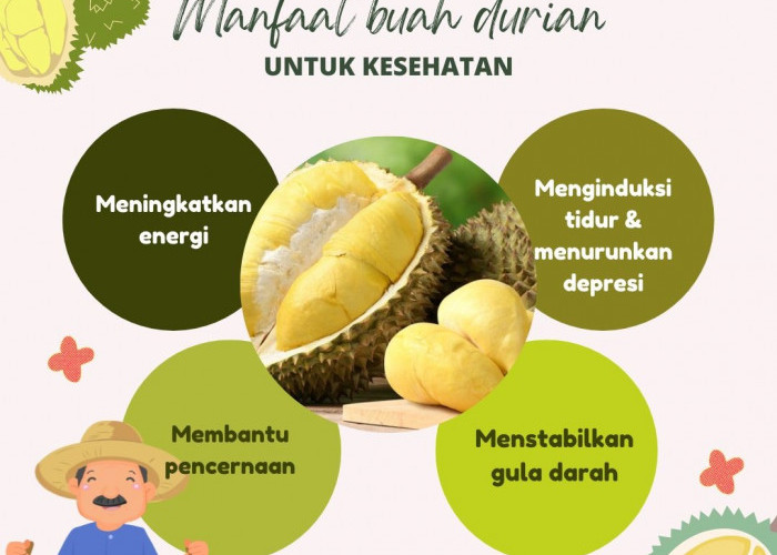 Sangat Manis dan Enak, Ini Dia 5 Jenis Durian yang Populer Di Indonesia