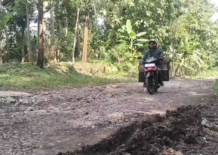 Warga Keluhkan 10 Tahun Jalan Rusak Belum Diperbaiki, Jalan Alternatif yang Bagus Sangat Dibutuhkan Warga