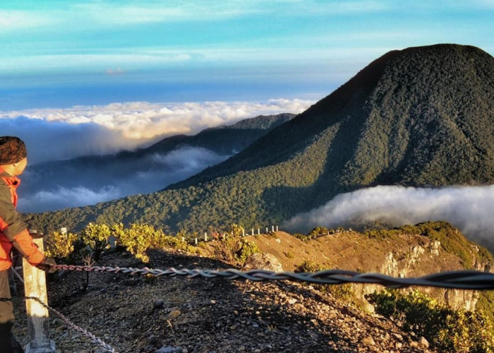 Update Harga Tiket Gunung Gede Cianjur 2026: Tarif Simaksi Terbaru dan Cara Booking Online