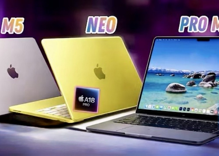 Jangan Asal Beli MacBook! Ini Bedanya Seri Neo, Air, dan Pro M5