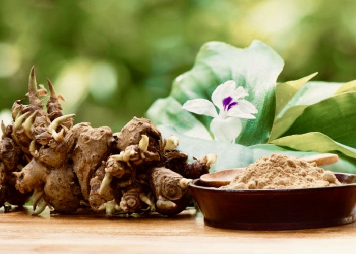 Jangan Remehin Kencur, Ini 5 Manfaat dan Cara Konsumsinya yang Jarang Orang Tahu