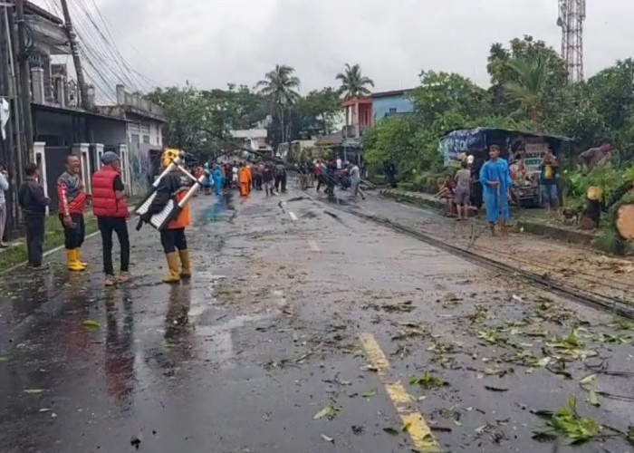 Cuaca Ekstrem, Pohon dan Tiang Listrik di Jalan Moh Hatta Tumbang, Tiang Listrik Tmpa Motor 