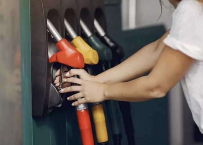 Bukan karena Pandemi, WFH Sekarang Demi BBM. Ada Apa dengan Indonesia?