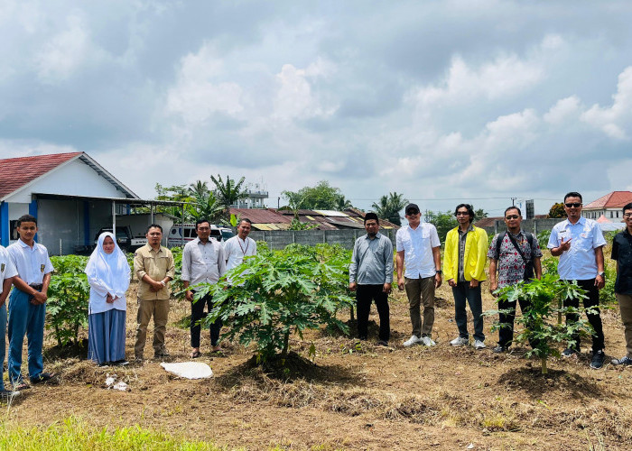 Unsil dan Pesantren Attajdid Kolaborasi Wujudkan Ketahanan Pangan Berbasis Sustainable Lifestyle
