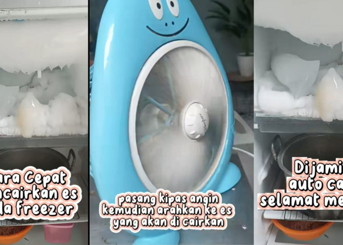 Cara Cepat Mencairkan Bunga Es Freezer dengan Alat Sederahan Ini, Lebih Praktis Gak Harus Didiamkan Semalaman