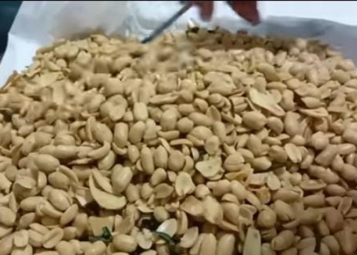 Kriuknya Awet Berbulan-bulan! Resep Kacang Bawang Santan yang Gurihnya Meresap Sampai ke Dalam