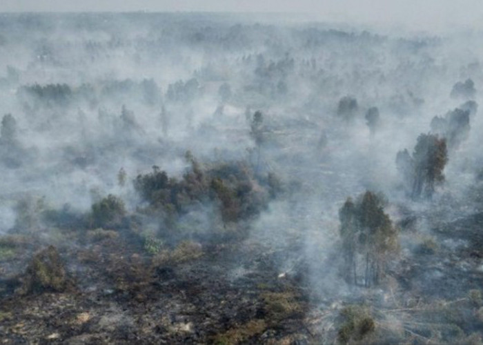 Kabut Asap Karhutla Selimuti Kalimantan, Langit Berubah Oranye dan Korban ISPA Tembus Ratusan Ribu