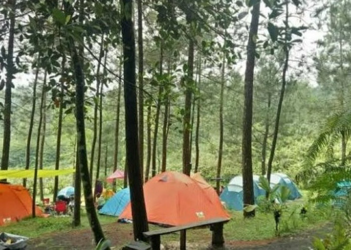 Camping Di Gunung Galunggung Tasikmalaya, Cocok Ajak Keluarga