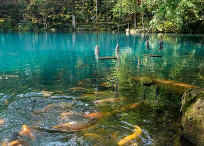 Update 2026: Wisata Telaga Biru Cicerem, Pesona Air Tosca yang Elegan dan Menenangkan Wisatawan