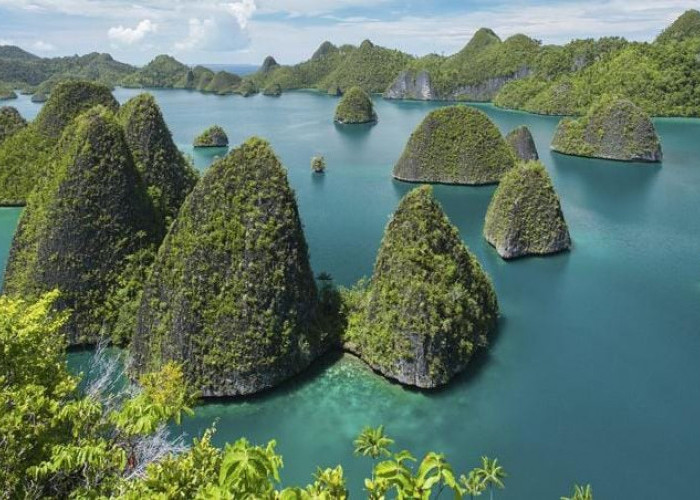 Update Biaya Ke Raja Ampat 2026: Rincian Lengkap dari Tiket hingga Penginapan