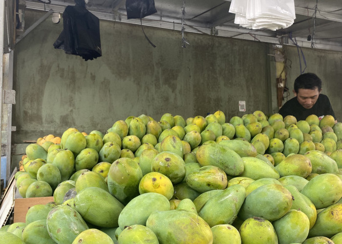 Mangga Gak Pernah Gagal Eksis, Dari Rujak Sampai Dessert Kekinian!