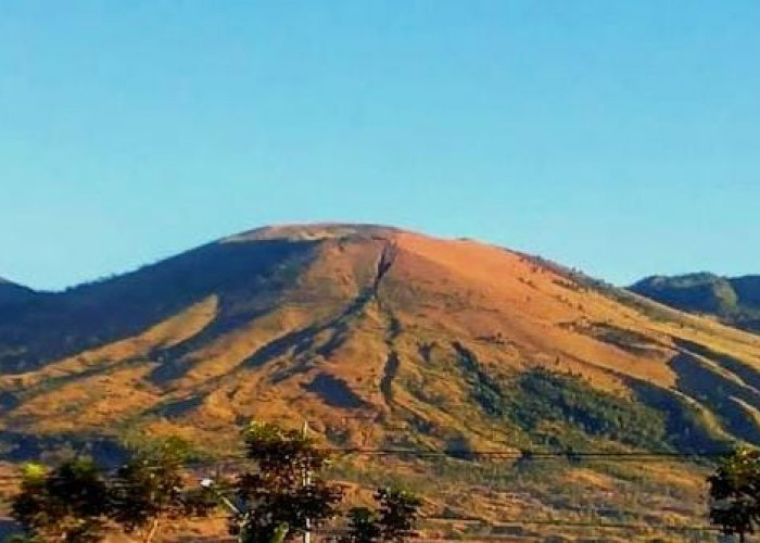 Gunung Guntur: Menjelajahi 