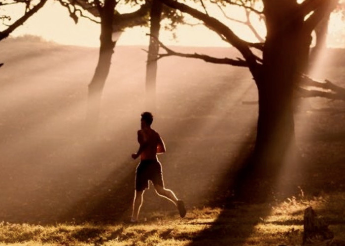 Bukan Sekadar Keringatan, Ini Rahasia Lari Sore Bisa Bikin Kamu Pintar Sekaligus Anti Stres!
