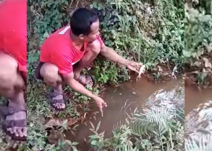 Pemkab Ambil Sampel Sungai Ciwulan yang Diduga Tercemar Akibat Limbah Pengolahan Kulit