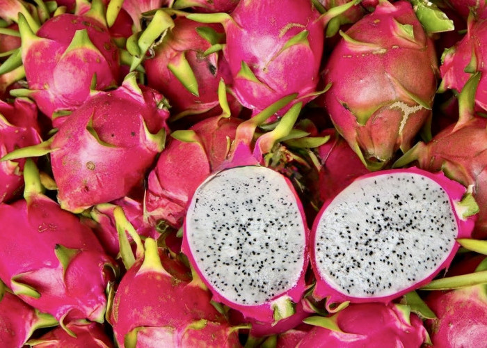 Buah Naga Ini Ternyata Rahasia Awet Muda dan Jantung Sehat yang Belum Banyak Orang Tahu