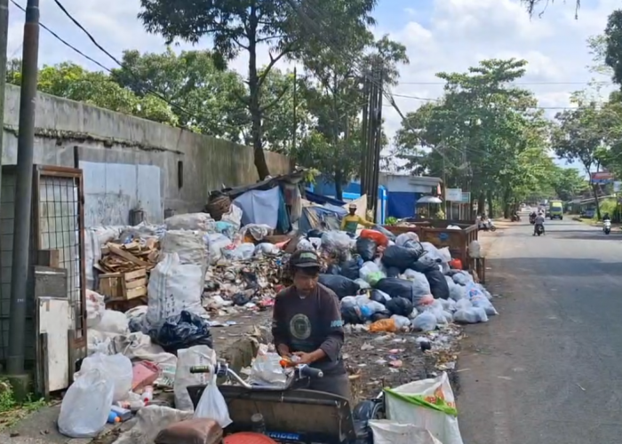 Sukwan Petugas Kebersihan Berharap Punya Penghasilan Tetap, Selama Ini Mengandalkan Hasil Jual Rongsokan