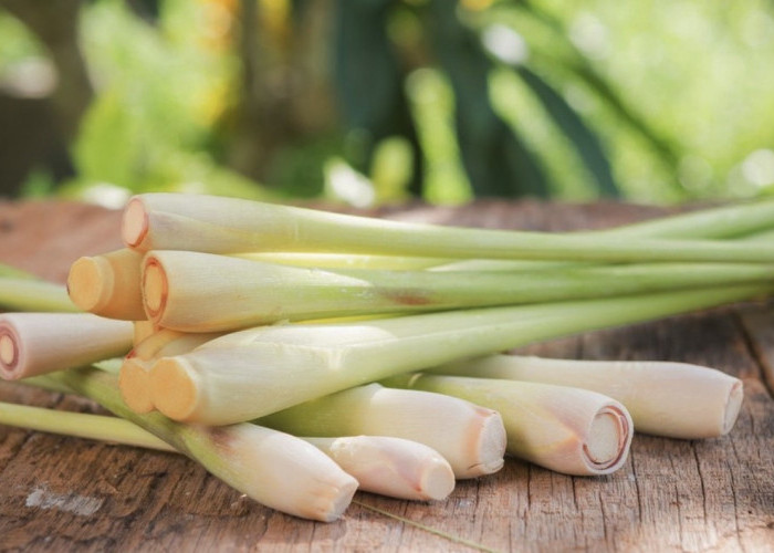 Daun Serai Cuma Buat Teh Hangat? Ternyata Khasiatnya Bikin Kaget!